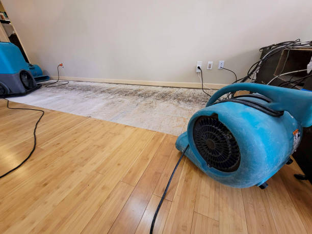 Professional Emergency Water Damage technician working in Macedonia, OH